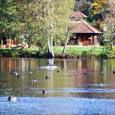 Seen- Und Felsenland Ludwigswinkel Dış mekan fotoğraf